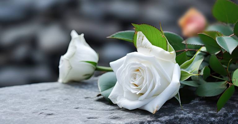 Een begrafenisceremonie buiten met een witte roos op een grijze granieten grafsteen